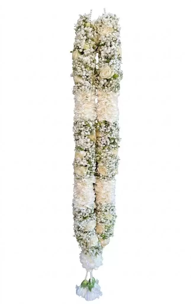 Baby's Breath Carnation Spray Rose Dots