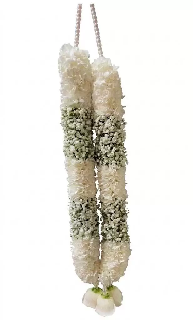 Carnation Baby's Breath (Two-Part)